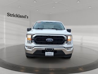 2021 Ford F150 4x2 - Supercab XLT - 145 WB in Stratford, Ontario - 2 - w320h240px