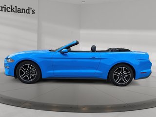 2023  Mustang Convertible Ecoboost Premium in Stratford, Ontario - 2 - w320h240px