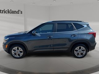 2024 Kia Seltos EX AWD in Stratford, Ontario - 5 - w320h240px
