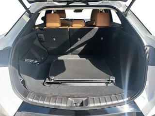 2023 Lexus RZ 450e in Stratford, Ontario - 6 - w320h240px