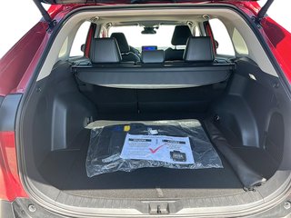 2024 Toyota RAV4 Hybrid XLE AWD in Stratford, Ontario - 6 - w320h240px