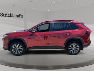 2024 Toyota RAV4 Hybrid XLE AWD in Stratford, Ontario - 5 - w320h240px