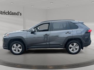 2024 Toyota RAV4 Hybrid XLE AWD in Stratford, Ontario - 5 - w320h240px