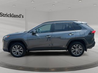 2025 Toyota RAV4 Hybrid Limited AWD in Stratford, Ontario - 5 - w320h240px