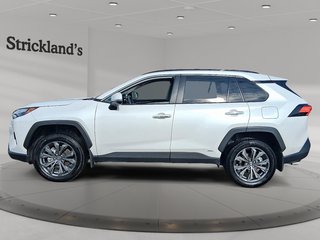 2025 Toyota RAV4 Hybrid Limited AWD in Stratford, Ontario - 5 - w320h240px