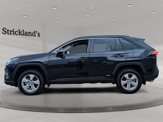 2025 Toyota RAV4 Hybrid LE AWD in Stratford, Ontario - 5 - w320h240px