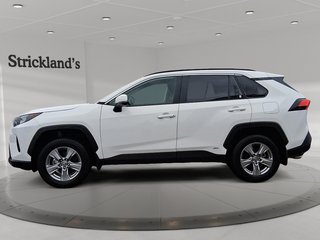 2025 Toyota RAV4 Hybrid LE AWD in Stratford, Ontario - 5 - w320h240px