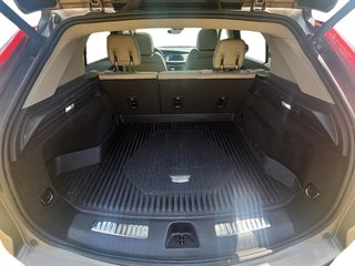 2023 Cadillac XT4 Premium Luxury AWD in Brantford, Ontario - 6 - w320h240px
