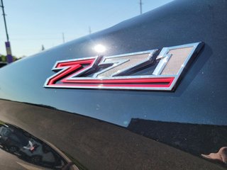 2024 Chevrolet Silverado 1500 Crew Cab Short Box 4-Wheel Drive LT Trail Boss in Brantford, Ontario - 6 - w320h240px