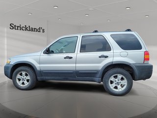 2005 Ford Escape XLT 4Dr 2WD 6CYL in Brantford, Ontario - 5 - w320h240px