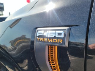 2022 Ford F150 4x4 - Supercrew Tremor - 145'' WB in Brantford, Ontario - 6 - w320h240px