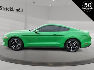 2019  Mustang Coupe Ecoboost in Brantford, Ontario - 5 - w320h240px