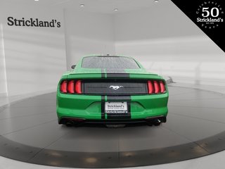 2019  Mustang Coupe Ecoboost in Brantford, Ontario - 3 - w320h240px