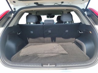 2023 Kia Niro EV Premium in Brantford, Ontario - 6 - w320h240px