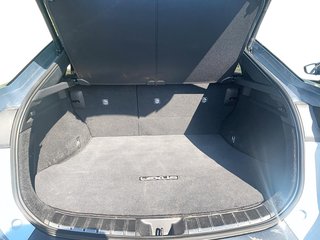 2023 Lexus RZ 450e in Brantford, Ontario - 6 - w320h240px