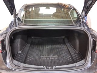 2021 Tesla Model 3 Standard Range Plus in Brantford, Ontario - 6 - w320h240px