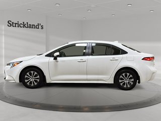 2024 Toyota Corolla Hybrid LE in Brantford, Ontario - 6 - w320h240px