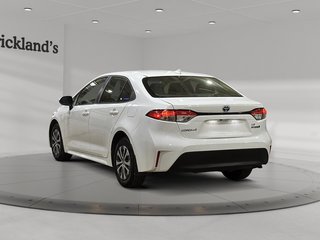 2024 Toyota Corolla Hybrid LE in Brantford, Ontario - 5 - w320h240px