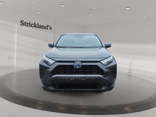 2023 Toyota RAV4 Hybrid XLE AWD in Brantford, Ontario - 2 - w320h240px