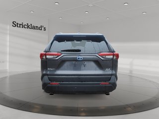2023 Toyota RAV4 Hybrid XLE AWD in Brantford, Ontario - 3 - w320h240px