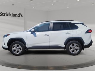 2025 Toyota RAV4 Hybrid LE AWD in Brantford, Ontario - 5 - w320h240px