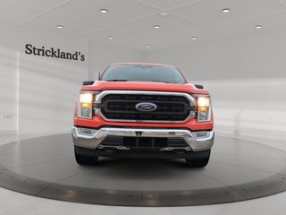 2021 Ford F-150 Supercrew Xlt 4x4 in Stratford, Ontario - 2 - w320h240px