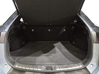 2023 Lexus RZ 450e AWD SUV in Stratford, Ontario - 6 - w320h240px