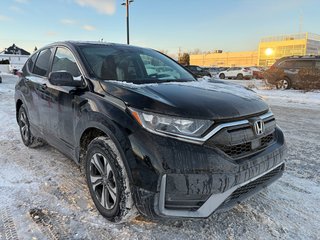 2021 Honda CR-V LX in Brossard, Quebec - 2 - w320h240px