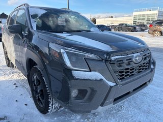 Subaru Forester WILDERNESS 2024 à Brossard, Québec - 3 - w320h240px