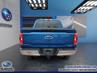 Ford F-150 XLT cabine SuperCrew 4RM caisse de 6,5 pi 2022 à New Richmond, Québec - 5 - w320h240px