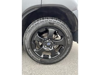 2023 Subaru Forester Wilderness in Kingston, Ontario - 6 - w320h240px