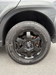 2024 Subaru Outback Wilderness in Kingston, Ontario - 6 - w320h240px