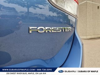 2023 Subaru Forester 2.5L CVT in Vaughan, Ontario - 6 - w320h240px