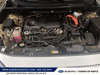 2023 Toyota RAV4 Hybrid LE AWD in Vaughan, Ontario - 6 - w320h240px