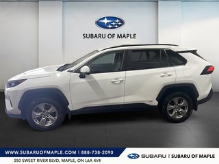 2023 Toyota RAV4 Hybrid LE AWD in Vaughan, Ontario - 5 - w320h240px