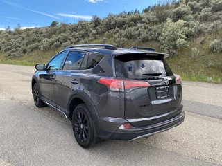 2018 Toyota RAV4 TRAIL in Kamloops, British Columbia - 5 - w320h240px