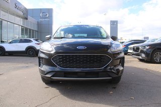 2022 Ford Escape SE W LOW PAYMENTS AVAILABLE