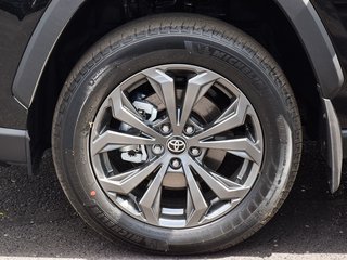 2025 Toyota RAV4 Hybrid Limited AWD in Mississauga, Ontario - 6 - w320h240px