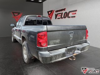 Dodge Dakota SXT 2008 à Rivière-du-Loup, Québec - 4 - w320h240px