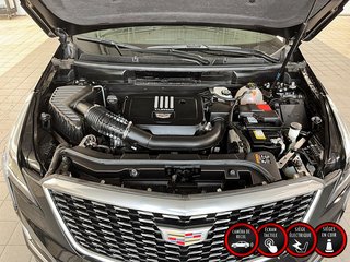 2024 Cadillac XT5 in Quebec, Quebec - 8 - w320h240px