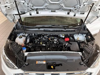 FORD TRUCK EDGE  2019 à Québec, Québec - 8 - w320h240px