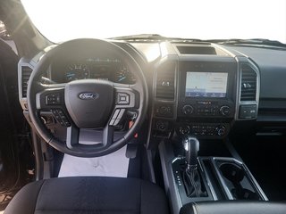 FORD TRUCK F-150  2019 à Québec, Québec - 10 - w320h240px