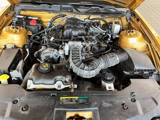 2010 Ford Mustang in Quebec, Quebec - 11 - w320h240px