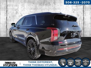 2025 Hyundai Palisade Ultimate Calligraphy Night in Woodstock, New Brunswick - 6 - w320h240px