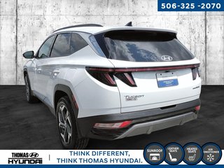 2022 Hyundai Tucson Hybrid Luxury in Woodstock, New Brunswick - 6 - w320h240px