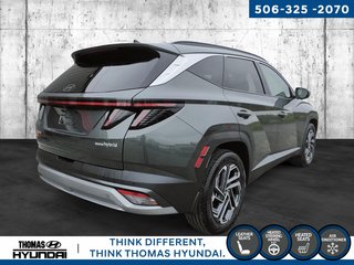 2025 Hyundai Tucson Hybrid Ultimate in Woodstock, New Brunswick - 6 - w320h240px