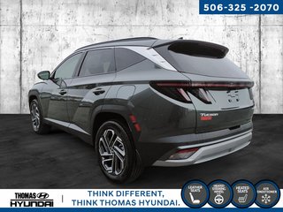 2025 Hyundai Tucson Hybrid Ultimate in Woodstock, New Brunswick - 5 - w320h240px