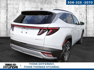 2025 Hyundai Tucson Hybrid Ultimate in Woodstock, New Brunswick - 5 - w320h240px