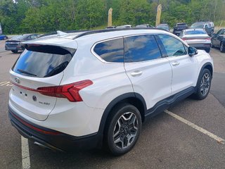 2022 Hyundai SANTA FE URBAN in New Glasgow, Nova Scotia - 5 - w320h240px