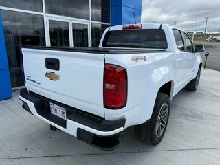 2019 Chevrolet Colorado 4WD Work Truck in Grand Falls, New Brunswick - 5 - w320h240px